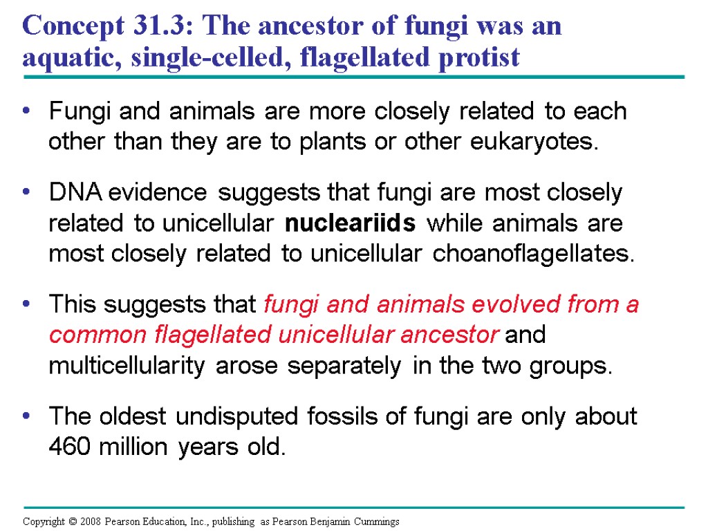 Concept 31.3: The ancestor of fungi was an aquatic, single-celled, flagellated protist Fungi and